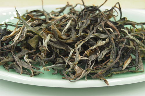 南糯山古树茶 