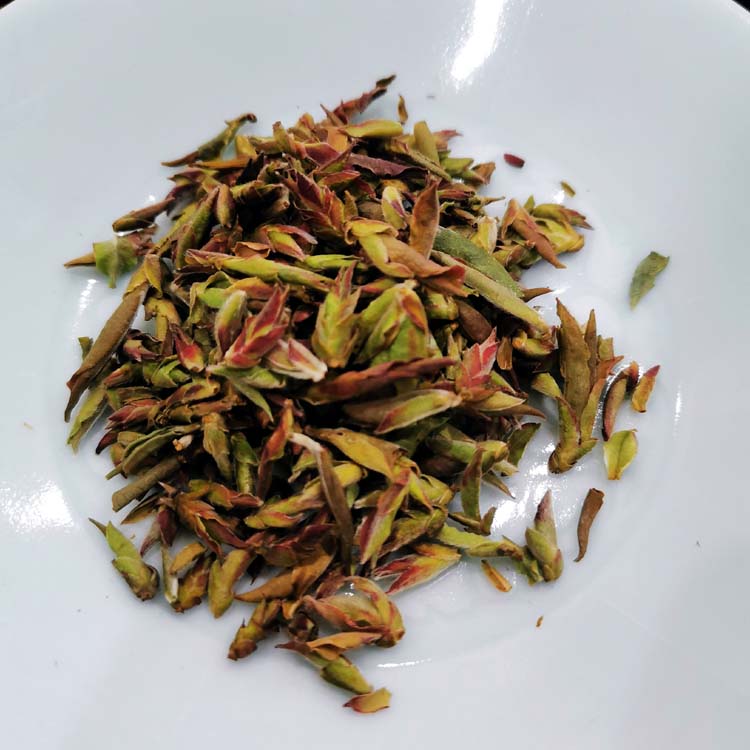 紫芽苞 早春茶 普洱熟茶 云南普洱茶